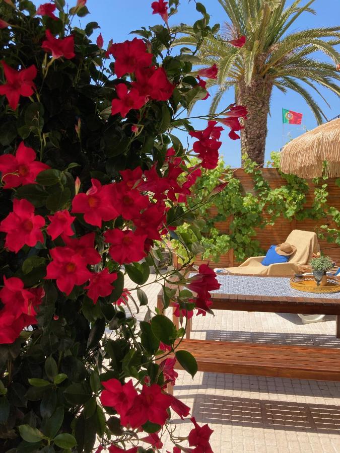 Bico Das Flores Praia de Mira Eksteriør bilde
